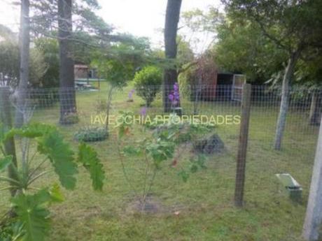 Casas En Pinares