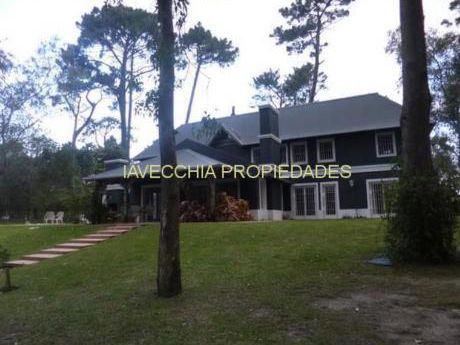 Casas En Maldonado