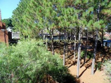 Apartamentos En Pinares