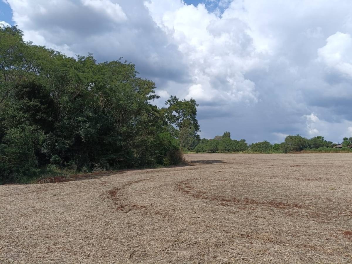 VENDO 10 HA EN OBLIGADO ITAPUA — foto 3
