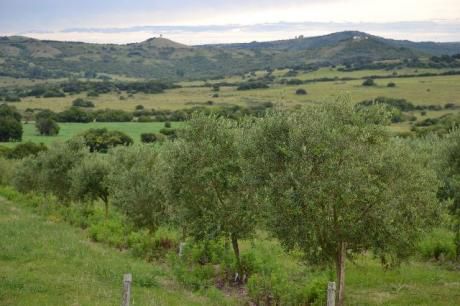 Chacras En Zona Rural - Ref: Pb2125