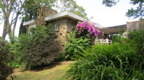 Casa En Punta Ballena - Ref: Pb253