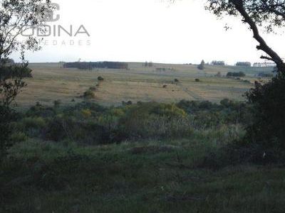 Chacra En Jose Ignacio