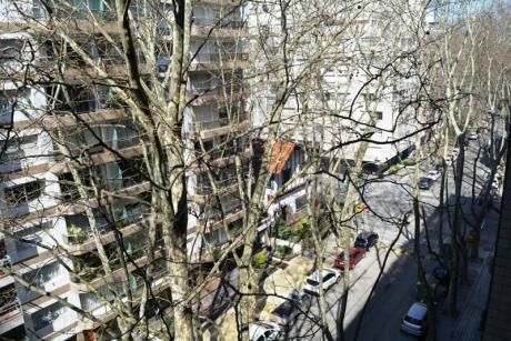 Apartamento En Venta 2 Dormitorios