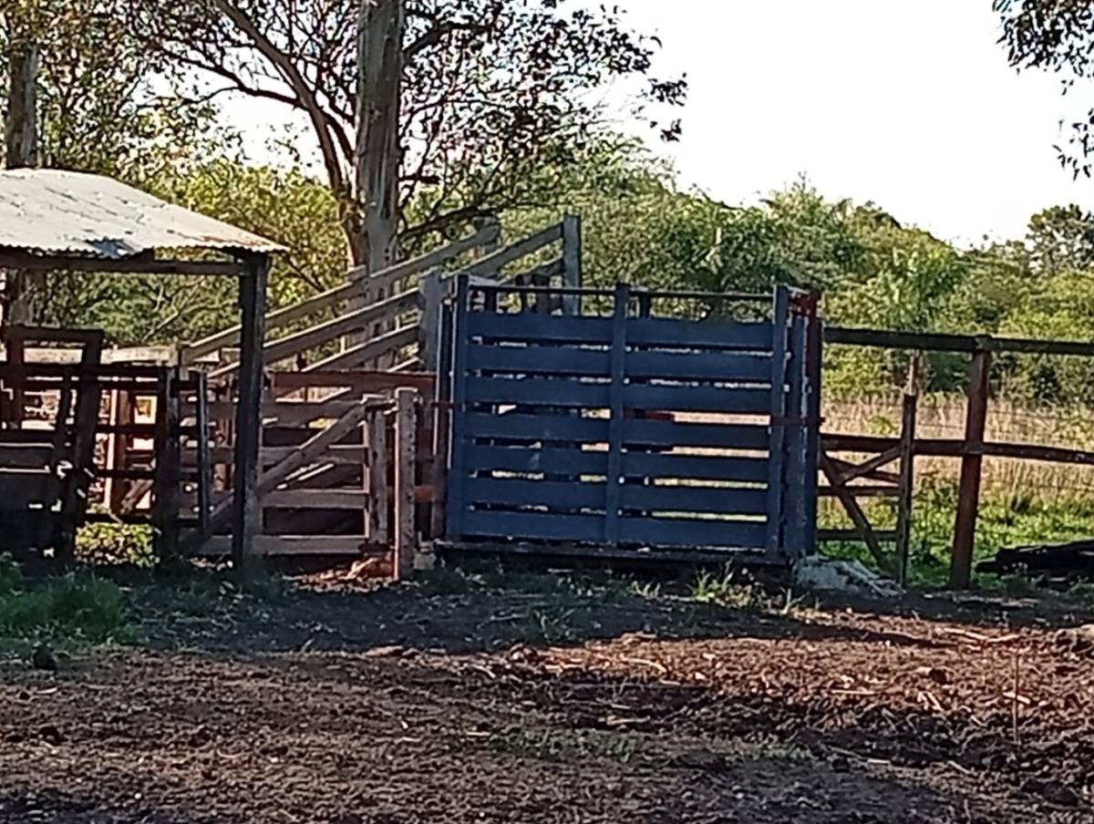 VENDO ESTANCIA EN YBYCUI — foto 3