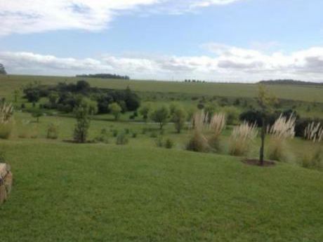 Terrenos En San Vicente