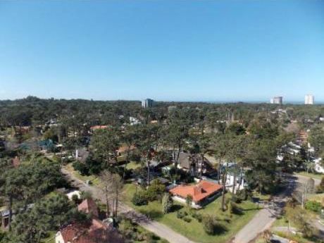 Apartamentos En Roosevelt: Cte12309a