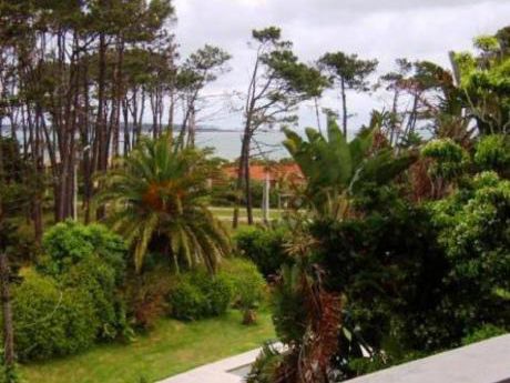 Apartamentos En Playa Mansa