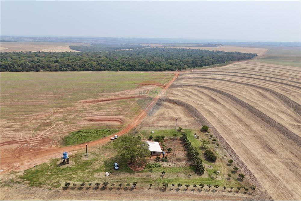 Finca Agrícola - Venta - Capiibary, San Pedro, Paraguay — foto 3