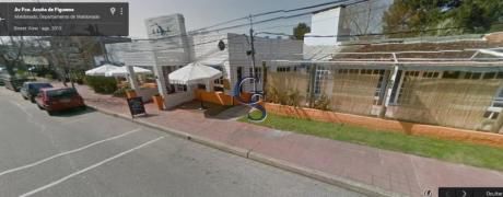 Locales Comerciales En Maldonado