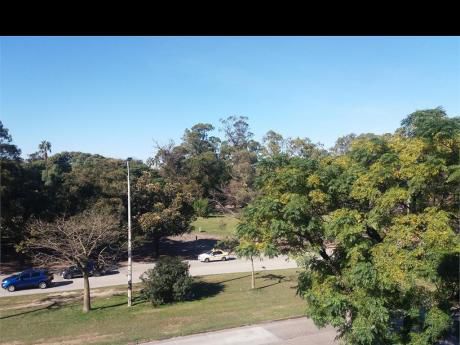 Vista A Parque, Estrene 1 Por Piso