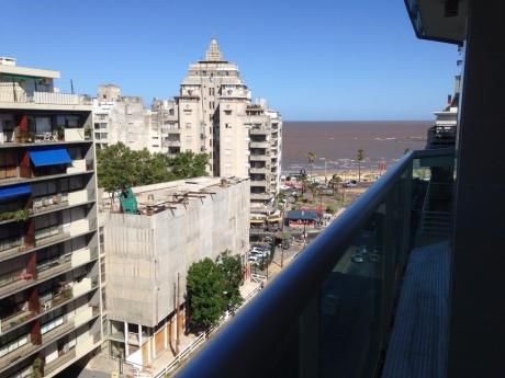 Apartamento En Alquiler 3 Dormitorio, 4 Baños En Pocitos