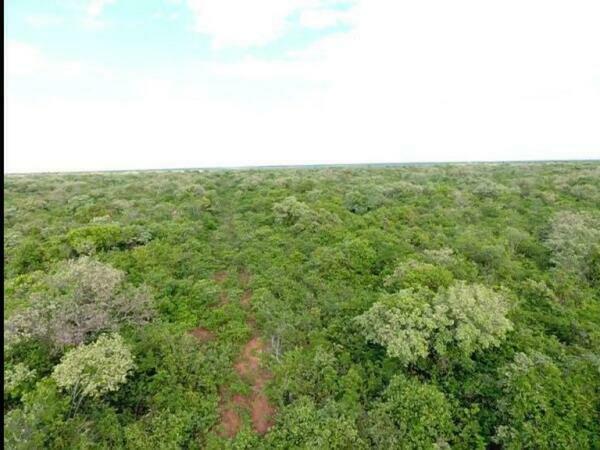 VENDO 10.500 HAS ZONA AGUA DULCE MAYOR PABLO LA GERENZA — foto 3