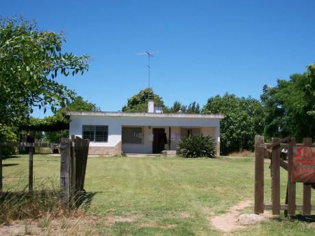 Vendo Campo Ruta 11 , Km 91500, Con Hermosa Casa . 11has