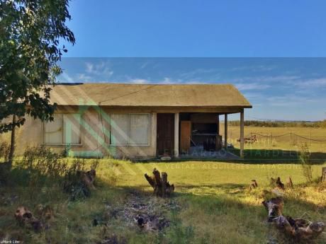 Campo En Colonia | Zona De Chacras