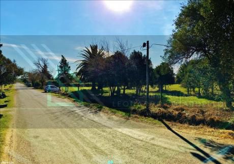 Gran Lote En Zona Urbana Ideal Para Desarrollo Inmobiliario
