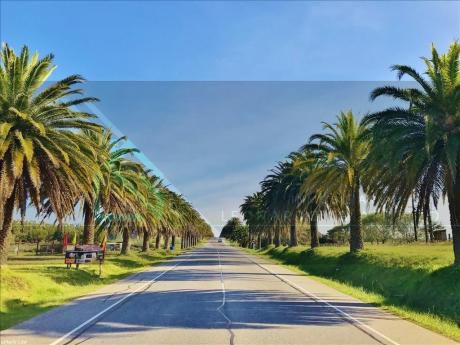 único Lote De 7.030 M2 En Barrio Las Palmeras | Ruta 1