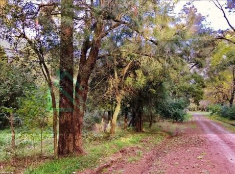 Terreno En Balneario El Ensueño | Lugar Soñado, Naturaleza