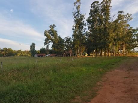 San Pedro Del Paraná - Itapúa - 636 Hectáreas - Sobre Ruta 8 - Para Ganadería