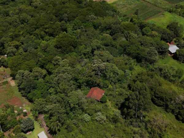 10 Hectareas en Venta Maria Auxiliadora y Tomas Romero Pereira — foto 3