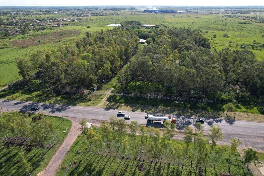 TERRENO HECTAREAS SOBRE RUTA TRANSCHACO — foto 3