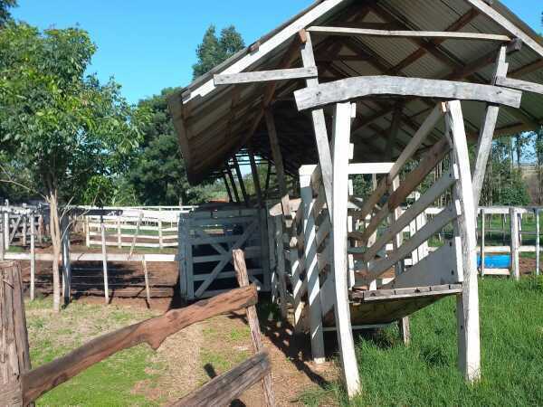 VENDO PROPIEDAD RURAL EN SAN PEDRO. — foto 3