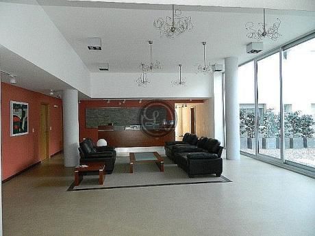 Apartamentos En Punta Carretas