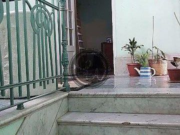Casas En Reducto