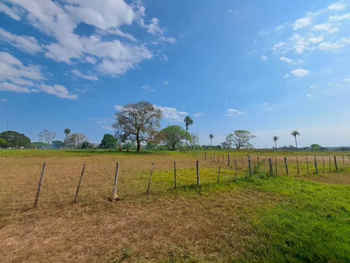 Estancia en venta con 319 ha. Concepción, Loreto — foto 2