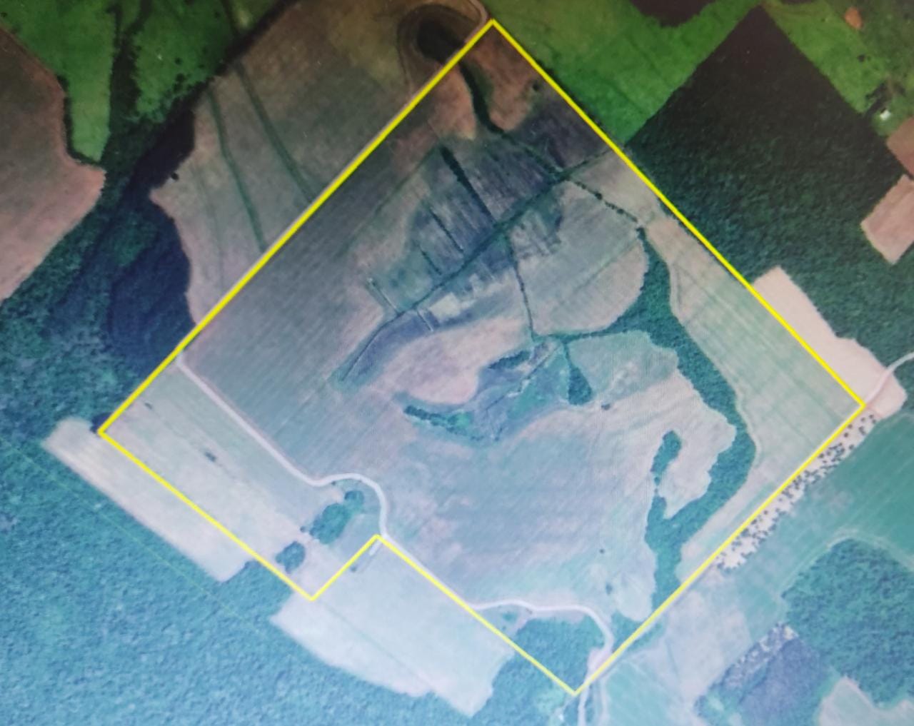 VENDO TERRENO MECANIZADO DE 120 HECTAREAS ZONA BELLA VISTA SUR — foto 2