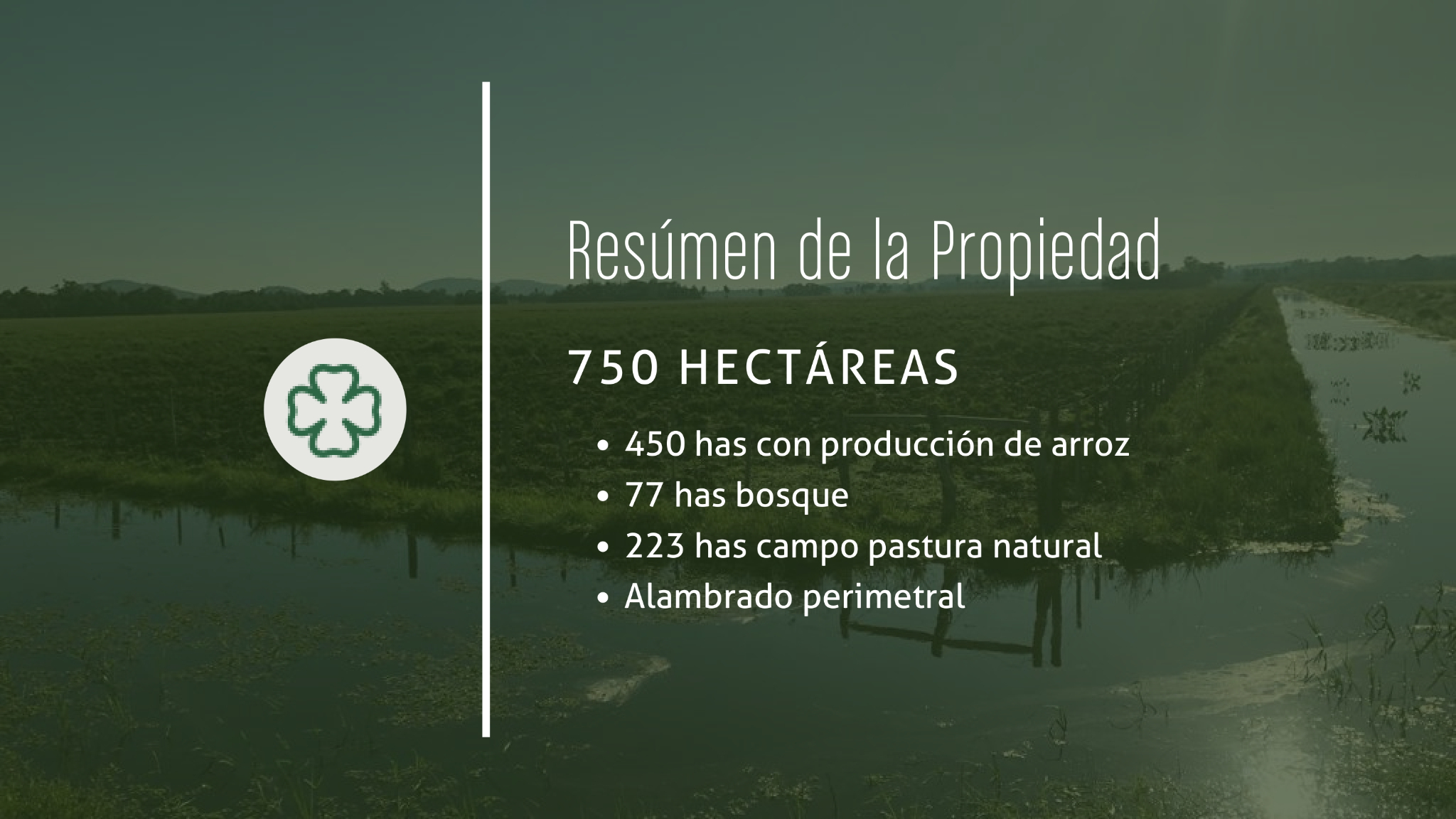 750 HA. EN LA ZONA DE CAAPUCU- PARAGUAY — foto 2