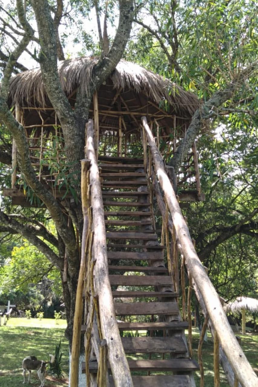????Casa Quinta en venta – Itacurubí de la Cordillera — foto 3