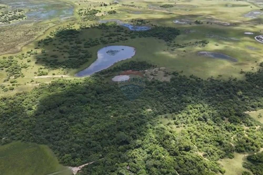 VENDO CAMPO DE TIERRA FERTIL EN MISIONES YABEBYRY — foto 3