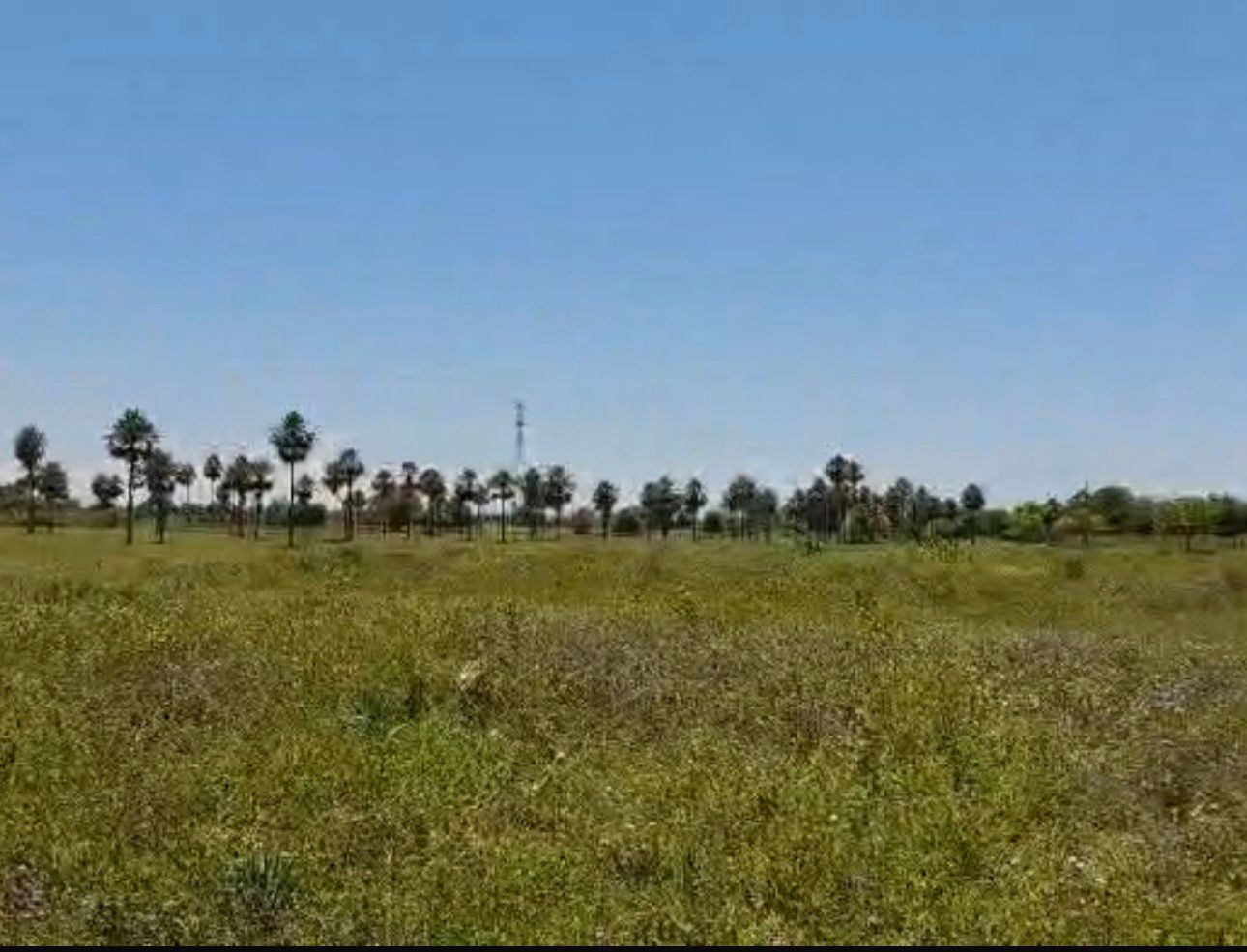 VENDO TERRENO EN VILLA HAYES CHACOI — foto 2