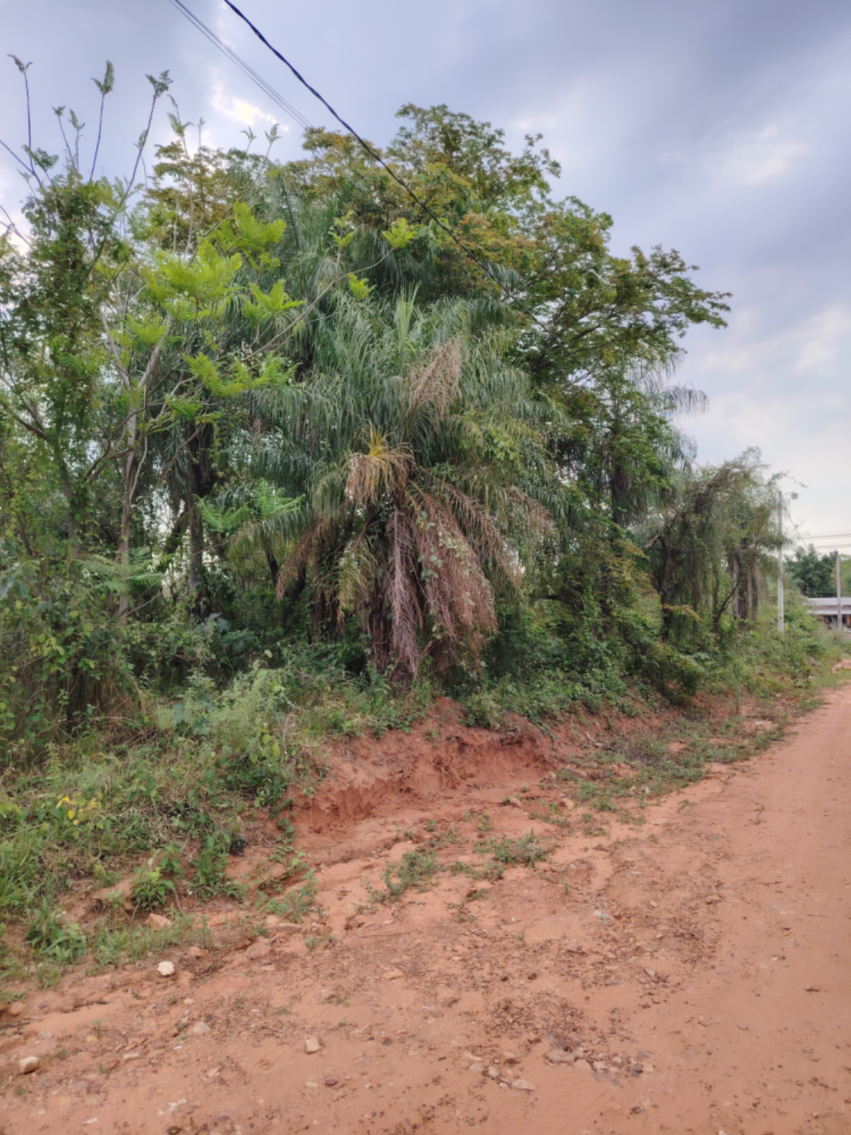 Vendo 5 Lotes En Altos, A Pasos De La Ruta. A 10 Minutos De Aqua Village — foto 2