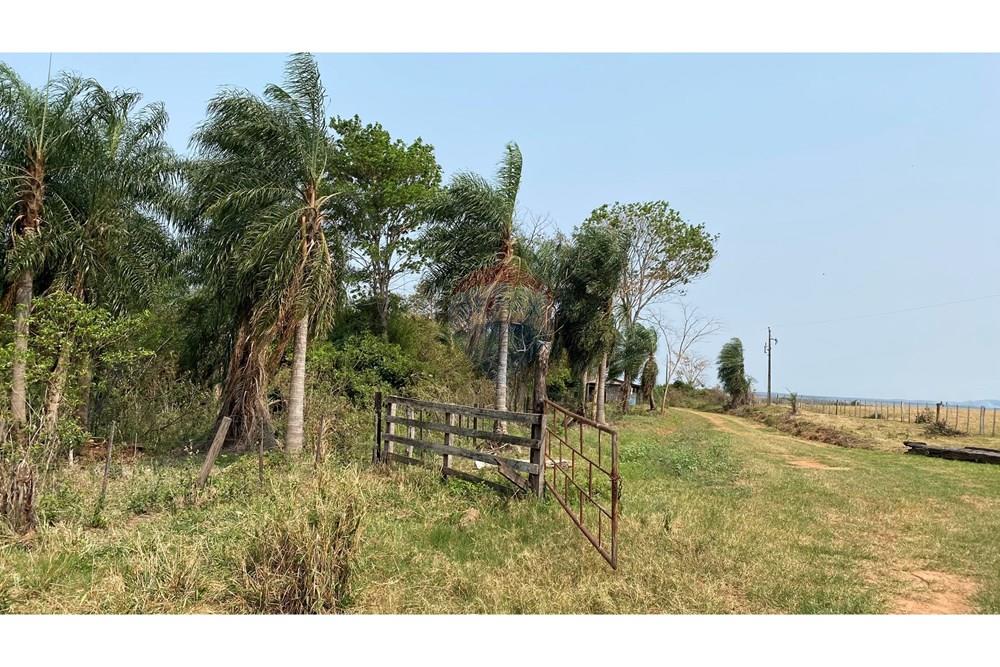 Estancia Campo Venta Simón Bolívar Caaguazu Paraguay — foto 2