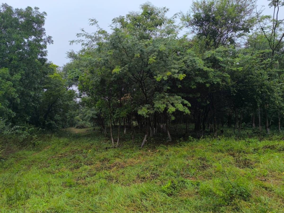 Venta de Terreno en Altos — foto 2