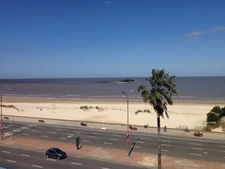 Apartamento En Venta 1 Dormitorio