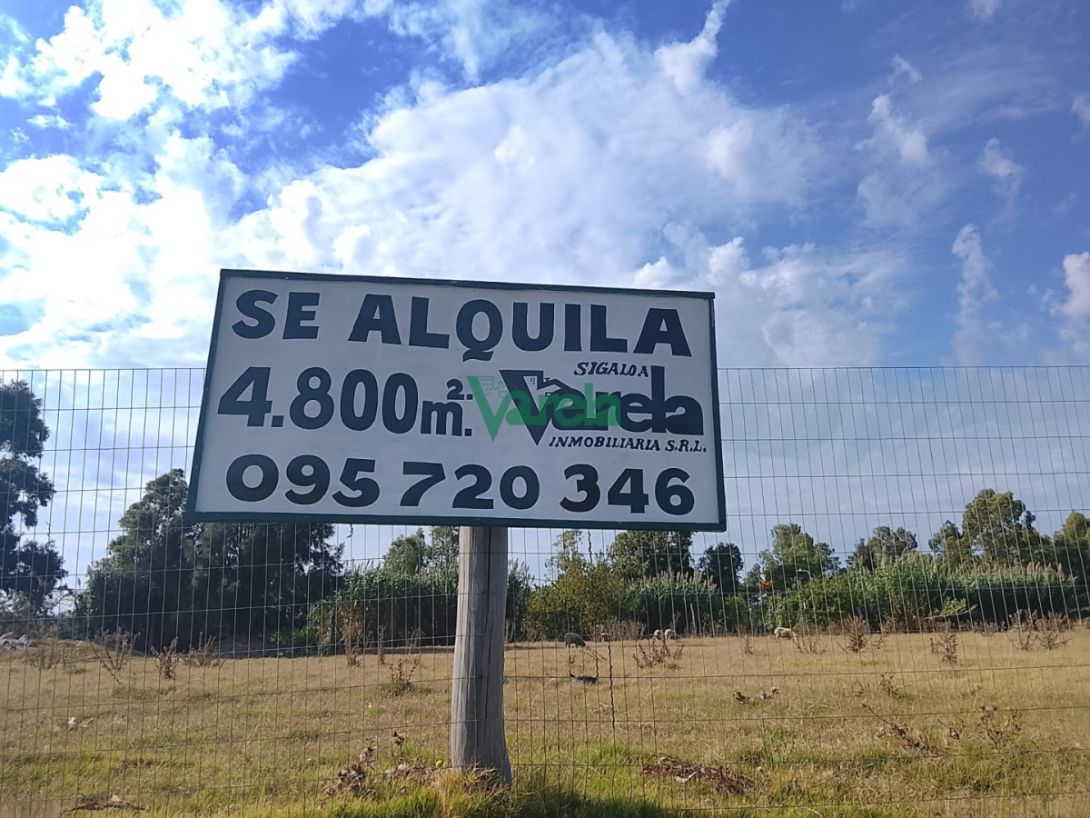 Alquiler terreno Interbalnearia de 4800 m2 · Photo 1