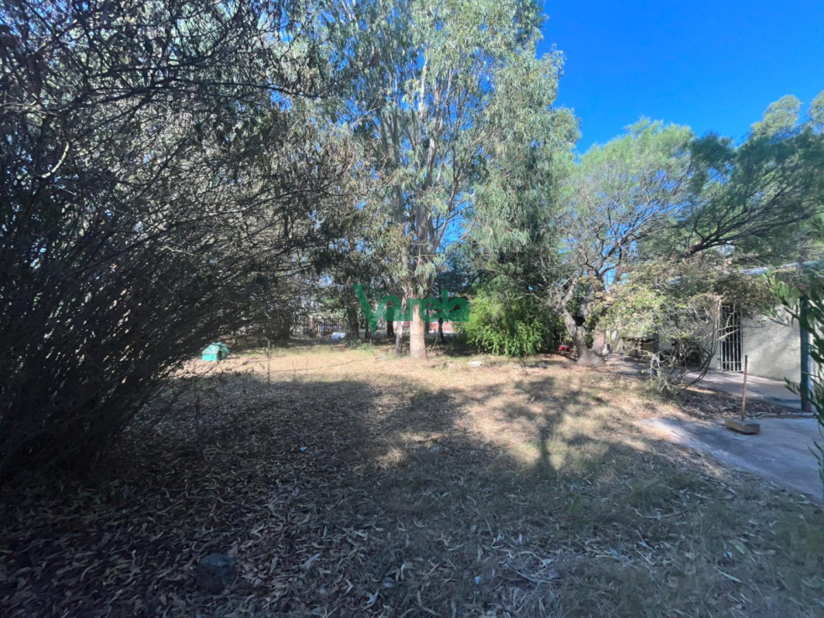 Photo 3 of 11