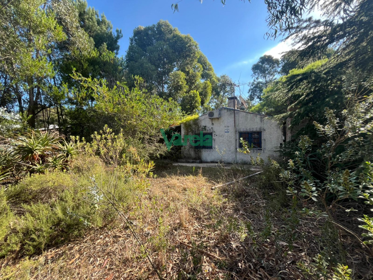 Casa de 2 dormitorios y 1 baño en Guazuvira Nuevo