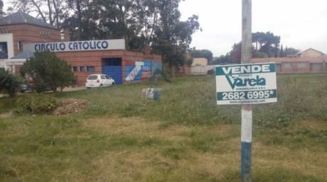 Sobre Cno. Carrasco Acera Sur