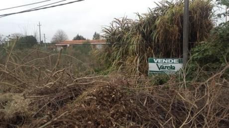 Terreno En San José De Carrasco Norte