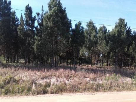 Terreno Financiado En Lomas De Solymar A Pura Cuota En $