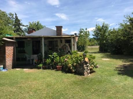 Casa En El Pinar