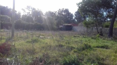 Terreno En El Pinar