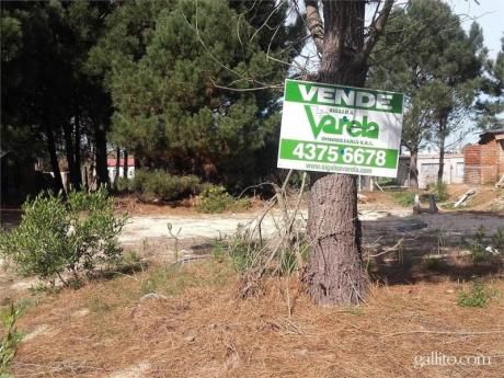 Terreno En Bello Horizonte