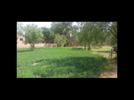 Lote En Venta