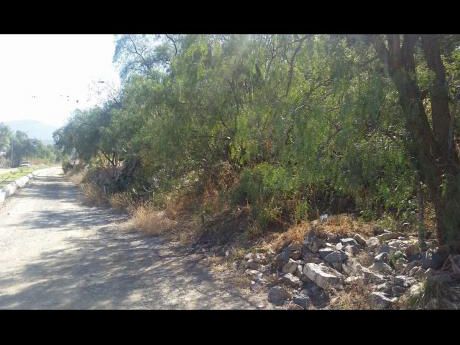 Lote En Venta