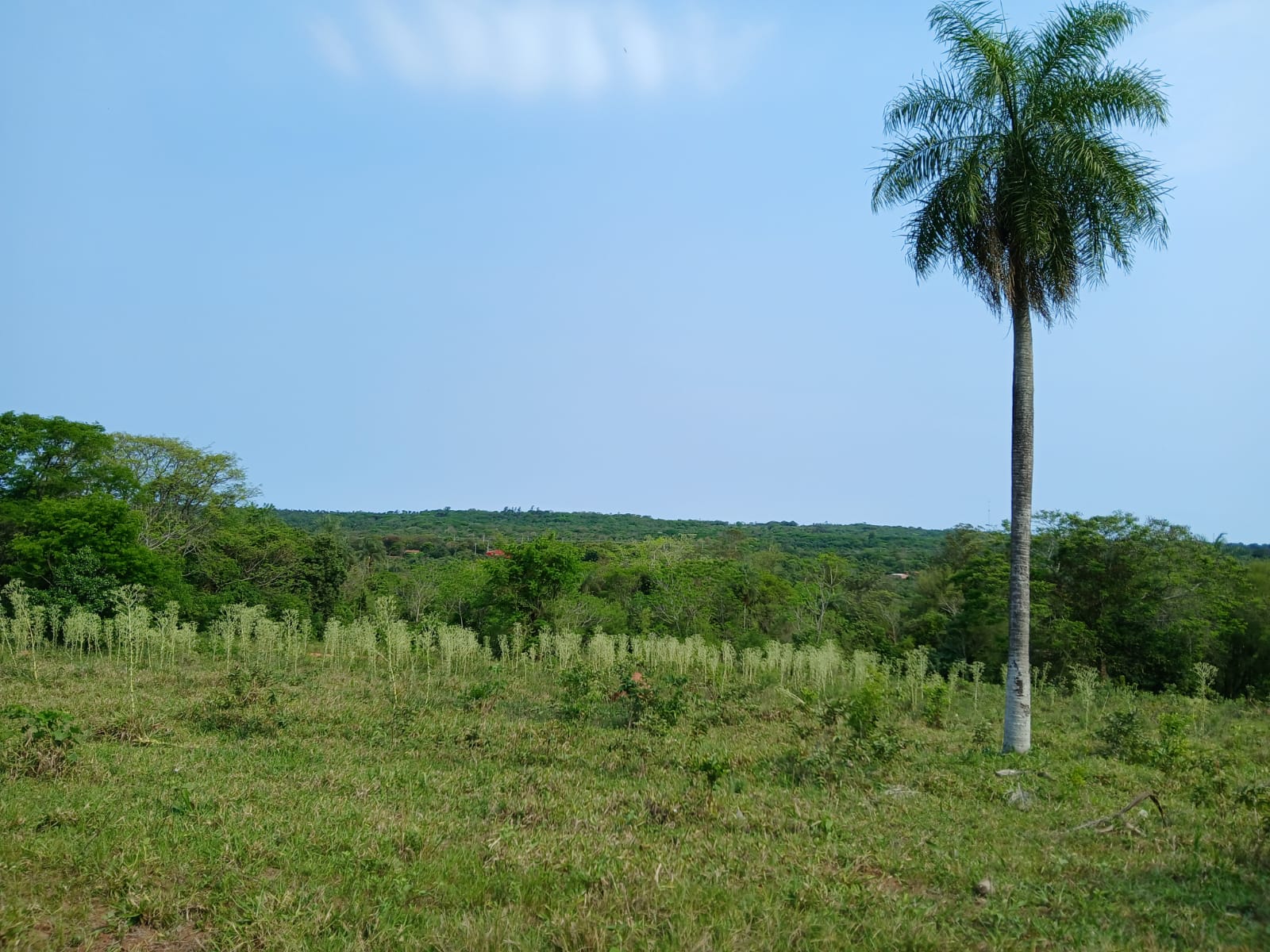 VENDO TERRENO EN LA CIUDAD DE ALTOS — foto 2